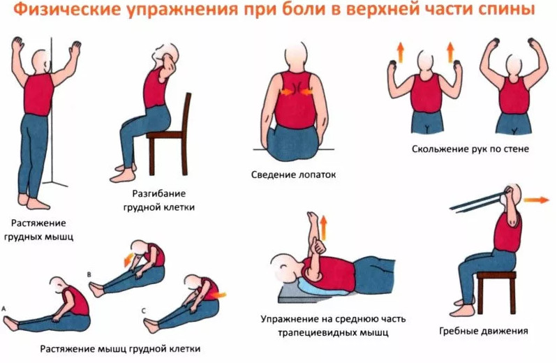 Девять упражнений на растяжку, которые заменят сеанс массажа