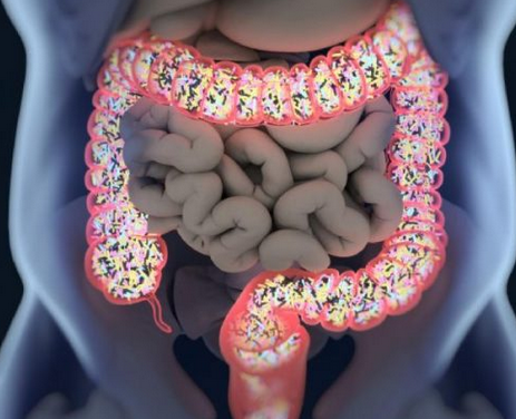 How to make the intestines work. 7 secrets from the doctor 