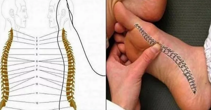 Секрет избавления от боли в спине раскрыт: делайте каждый день массаж ног