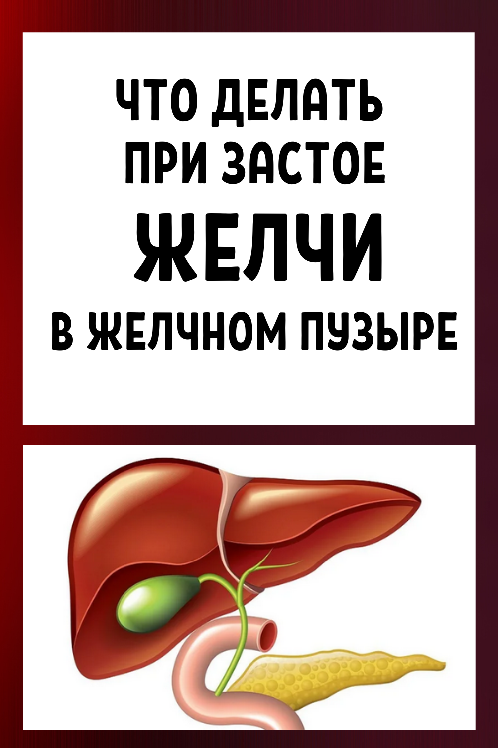 Fast and effective treatment of the gallbladder at home