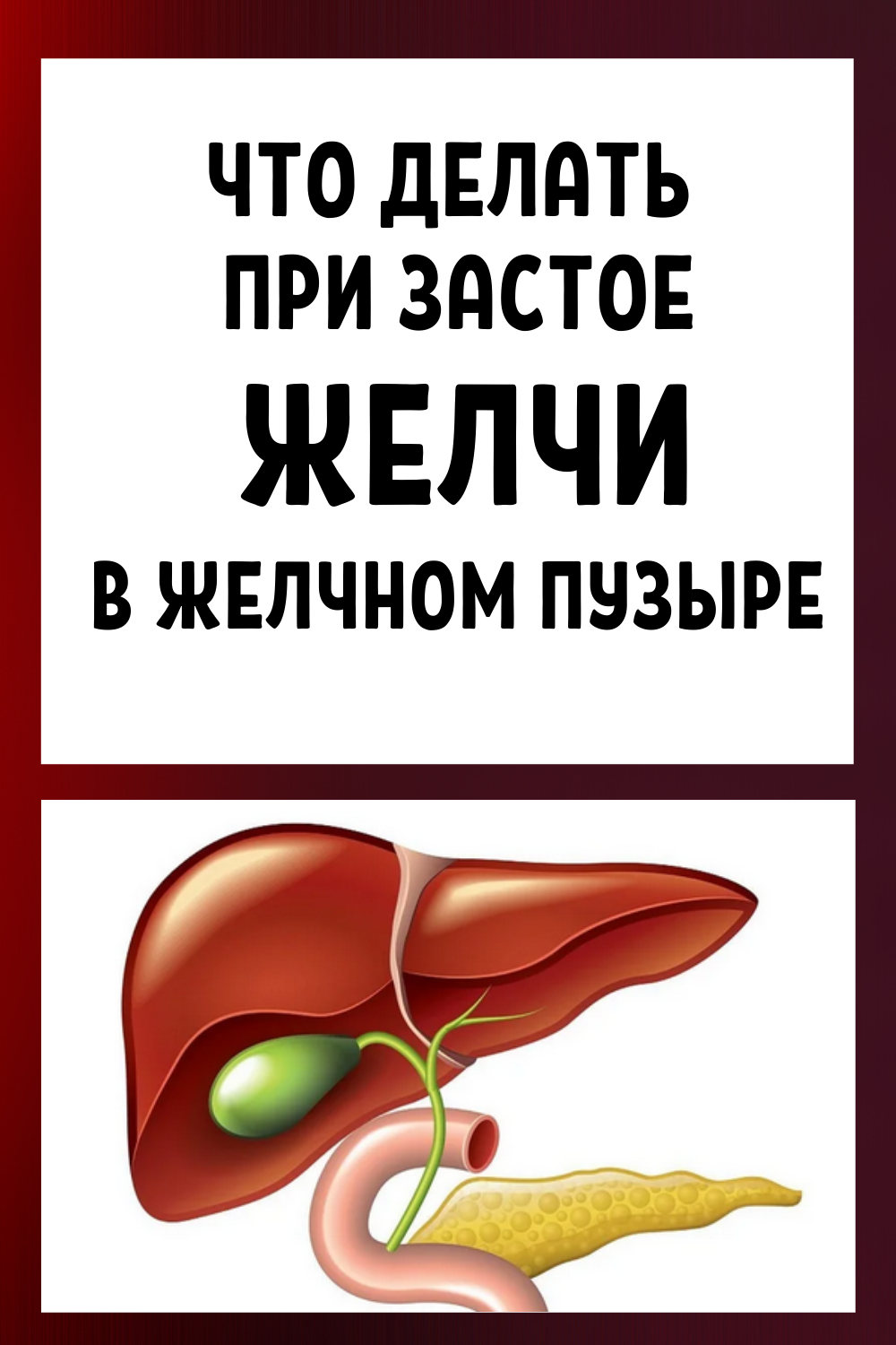 Быстрое и эффективное лечение желчного пузыря в домашних условиях